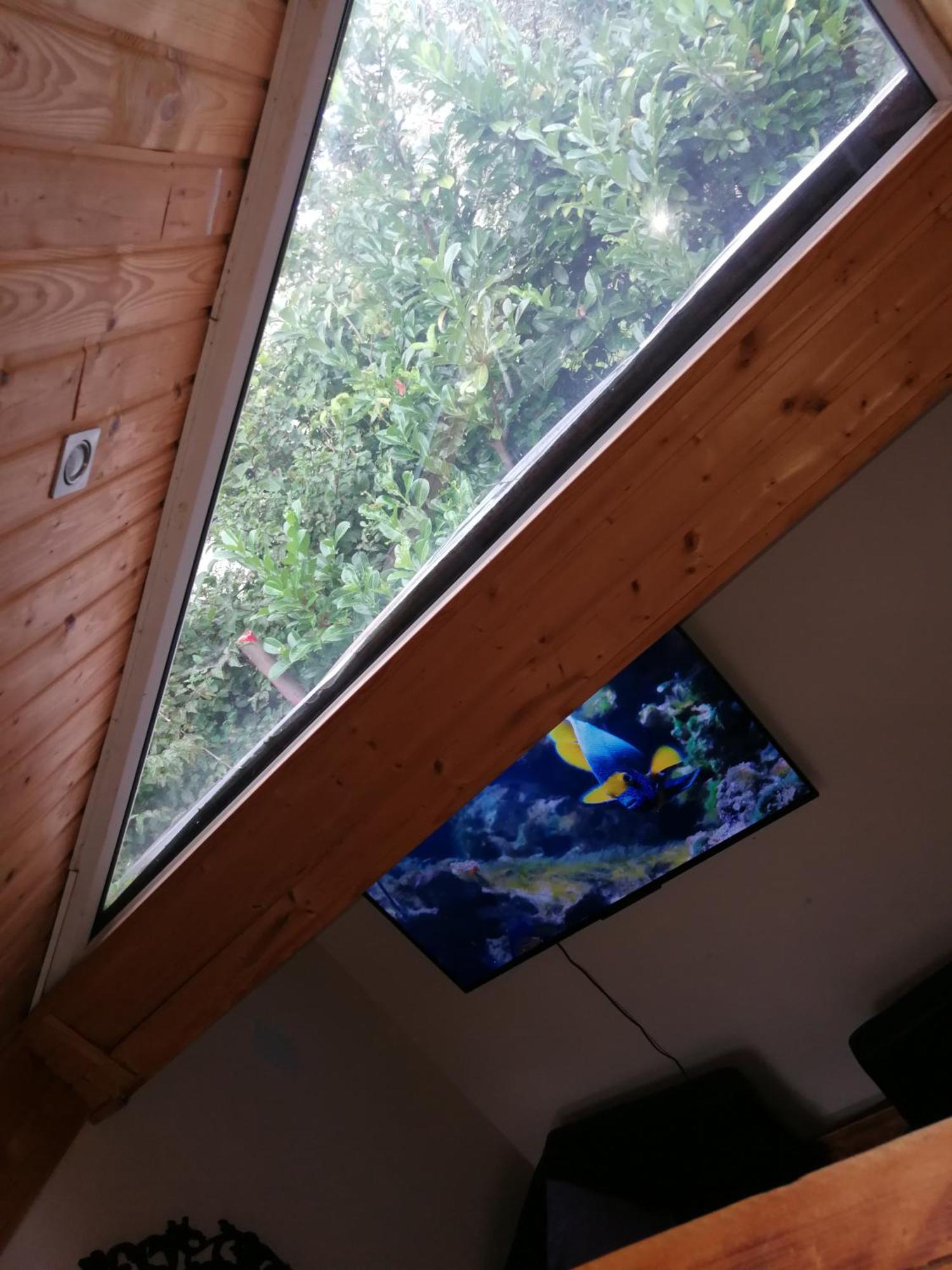 Wohlfuehloase - Zimmer, Appartment - Im Herzen Starnbergs 部屋 写真
